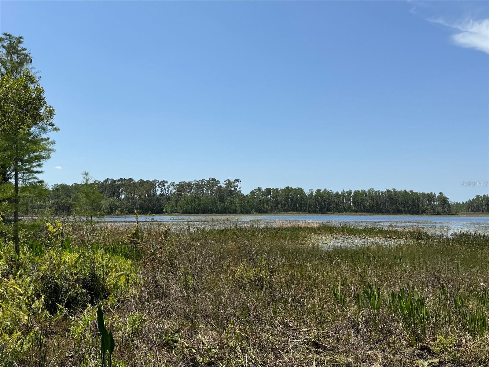 8335 FLORIDA BOYS RANCH RD, GROVELAND, FL — photo 7