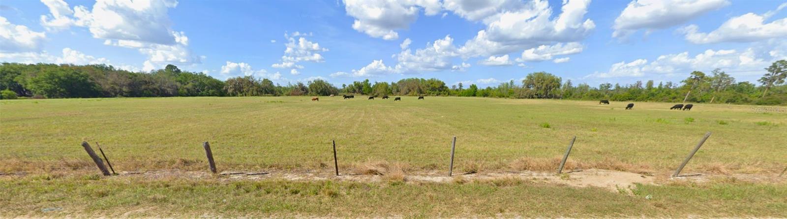 8335 FLORIDA BOYS RANCH RD, GROVELAND, FL — photo 11