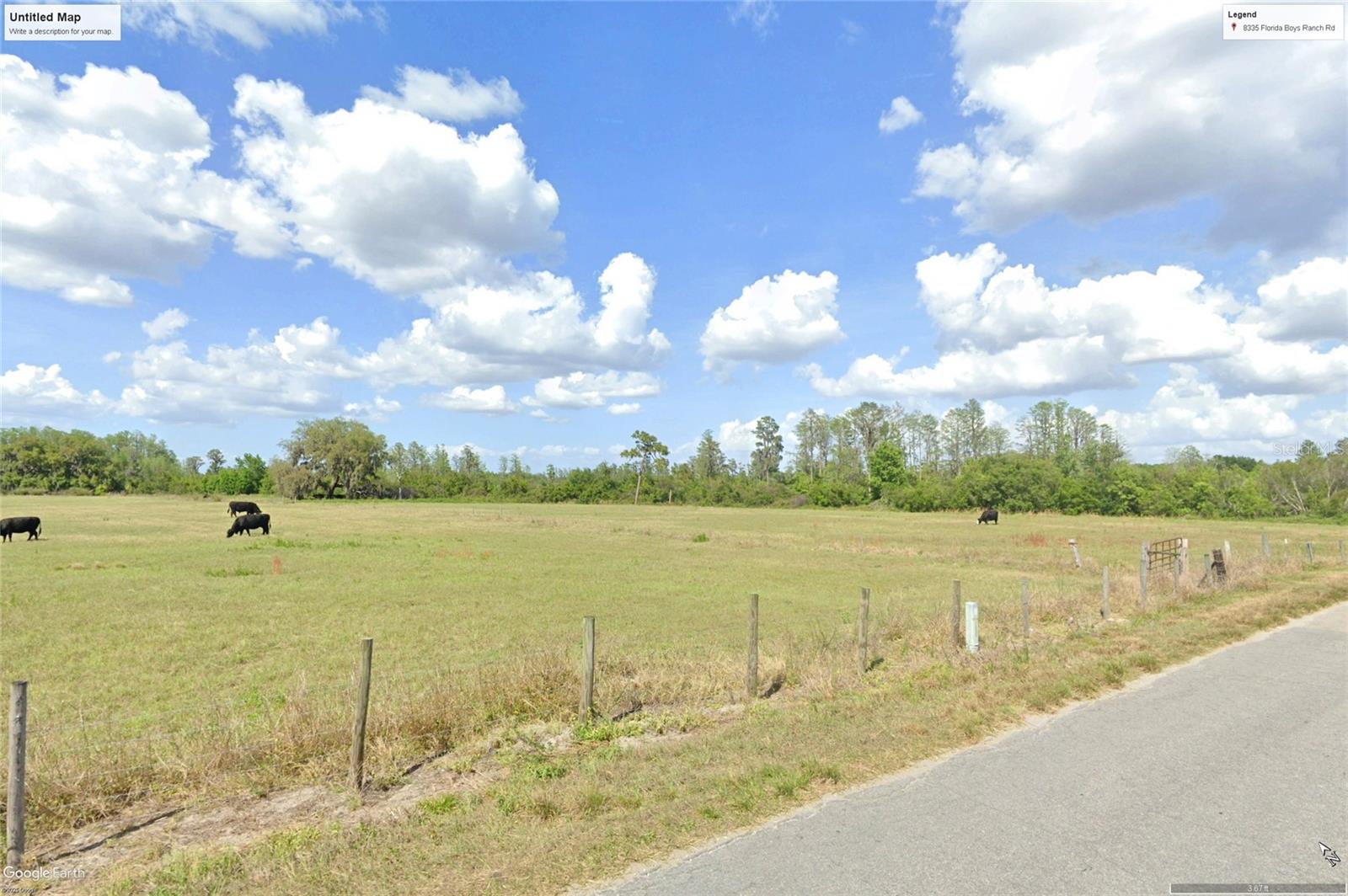 8335 FLORIDA BOYS RANCH RD, GROVELAND, FL — photo 14