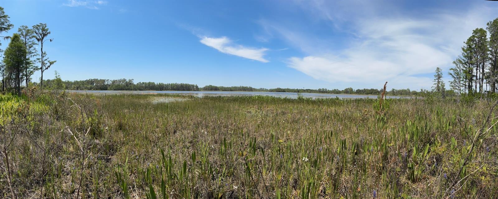 8335 FLORIDA BOYS RANCH RD, GROVELAND, FL — photo 24