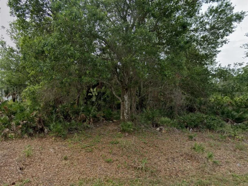 23469 WINTHROB AVE, PUNTA GORDA, FL