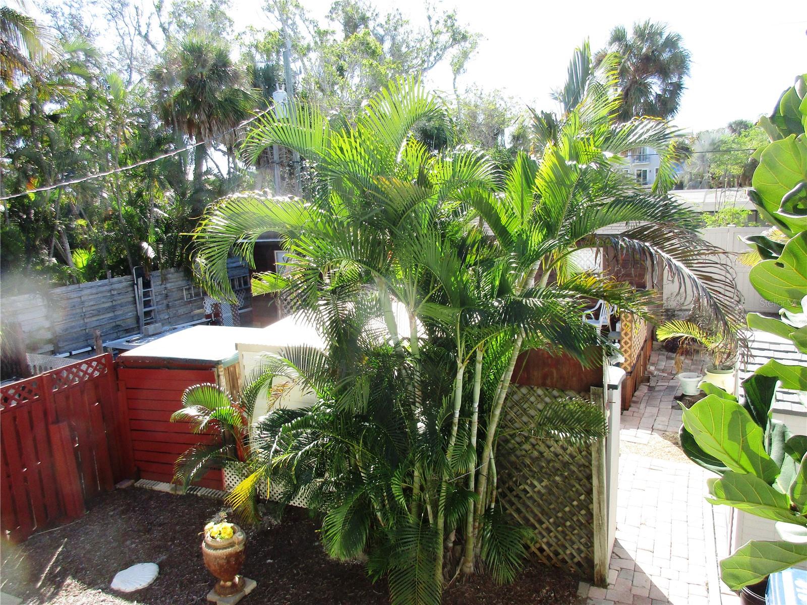 618 AVENIDA DE MAYO, SARASOTA, FL — photo 34