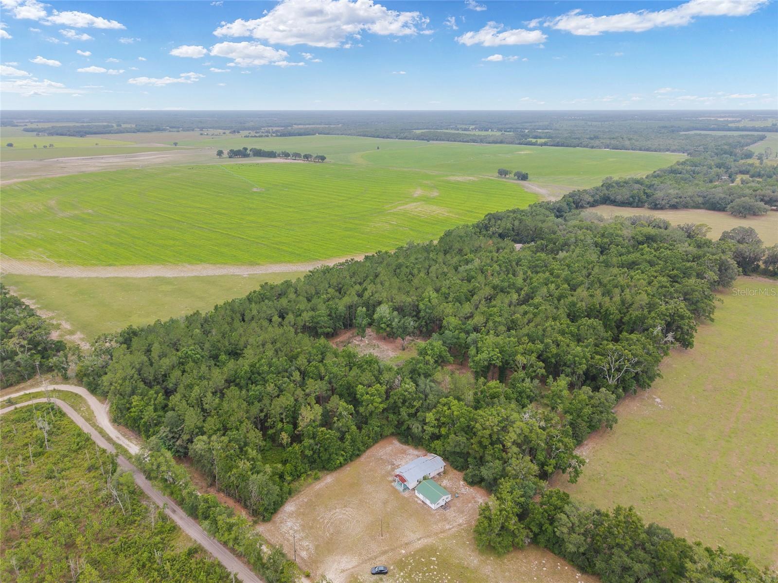 0 SW 234TH ST, NEWBERRY, FL — photo 7