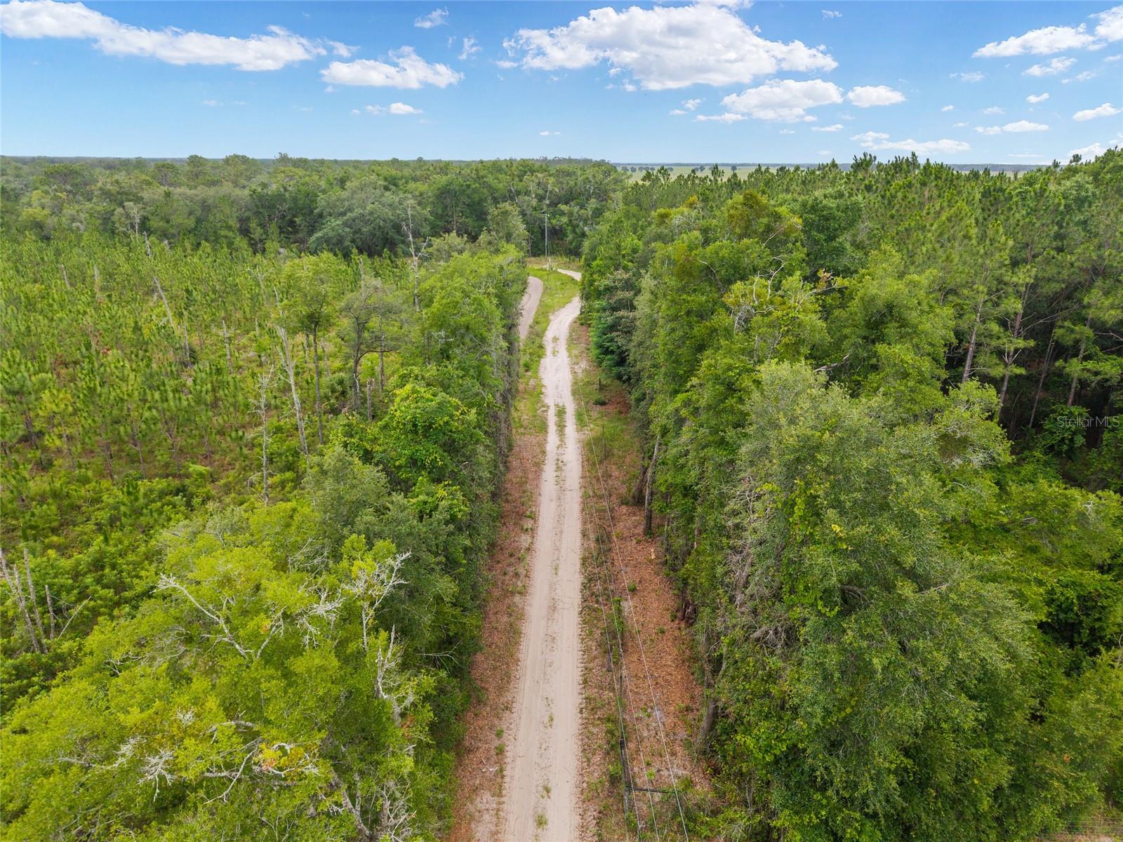 0 SW 234TH ST, NEWBERRY, FL — photo 10