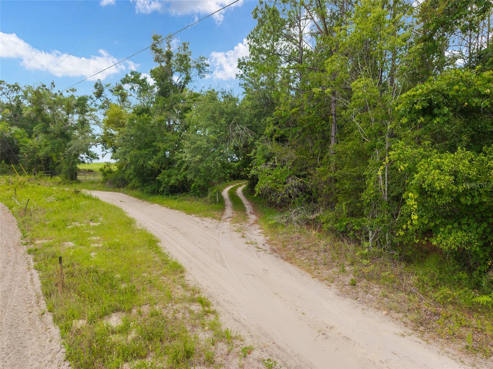 0 SW 234TH ST, NEWBERRY, FL — photo 11