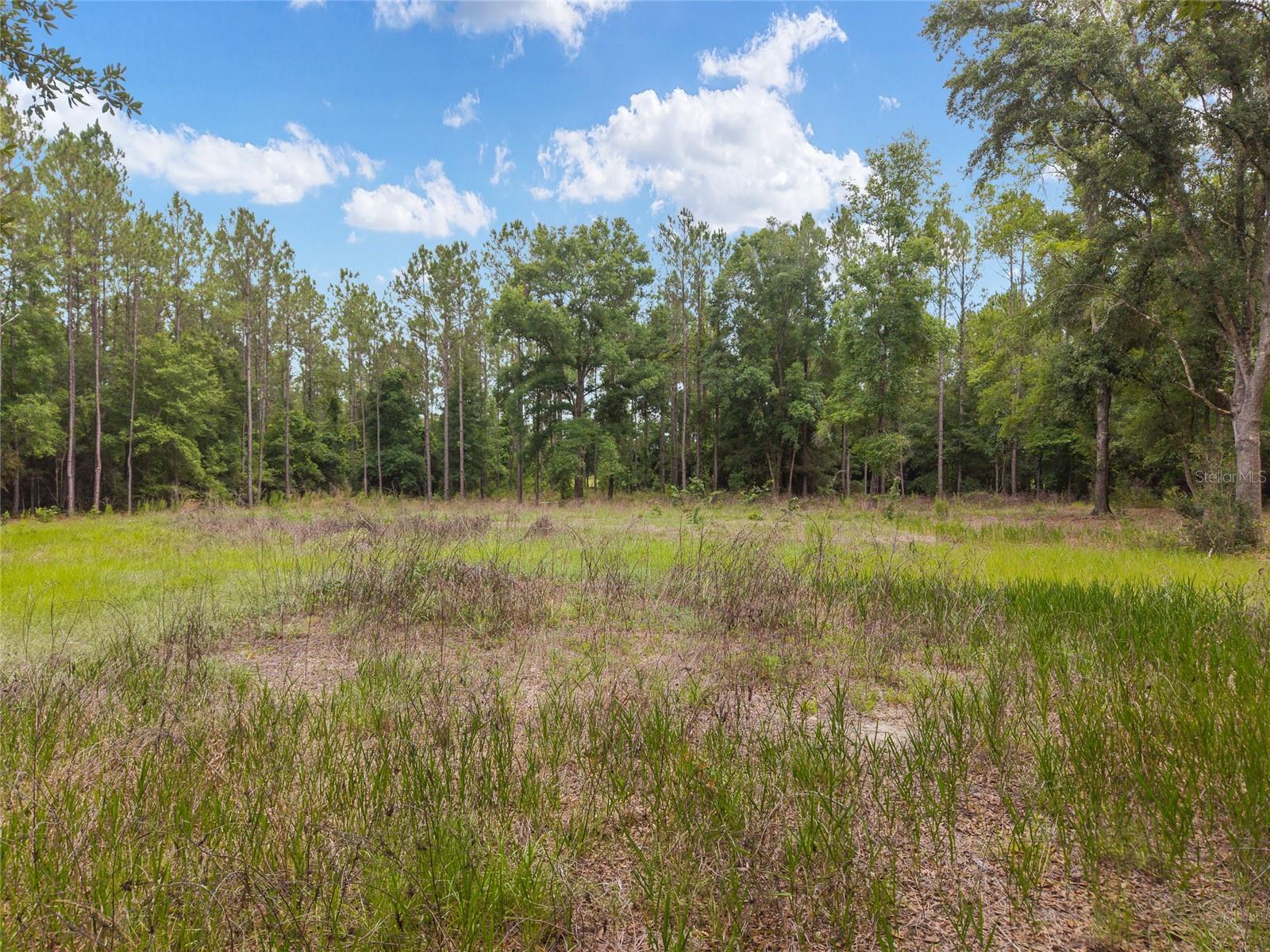 0 SW 234TH ST, NEWBERRY, FL — photo 19