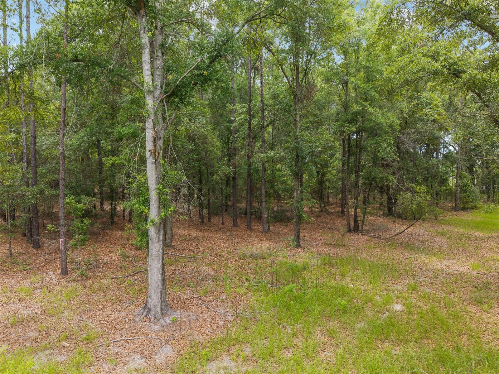 0 SW 234TH ST, NEWBERRY, FL — photo 20