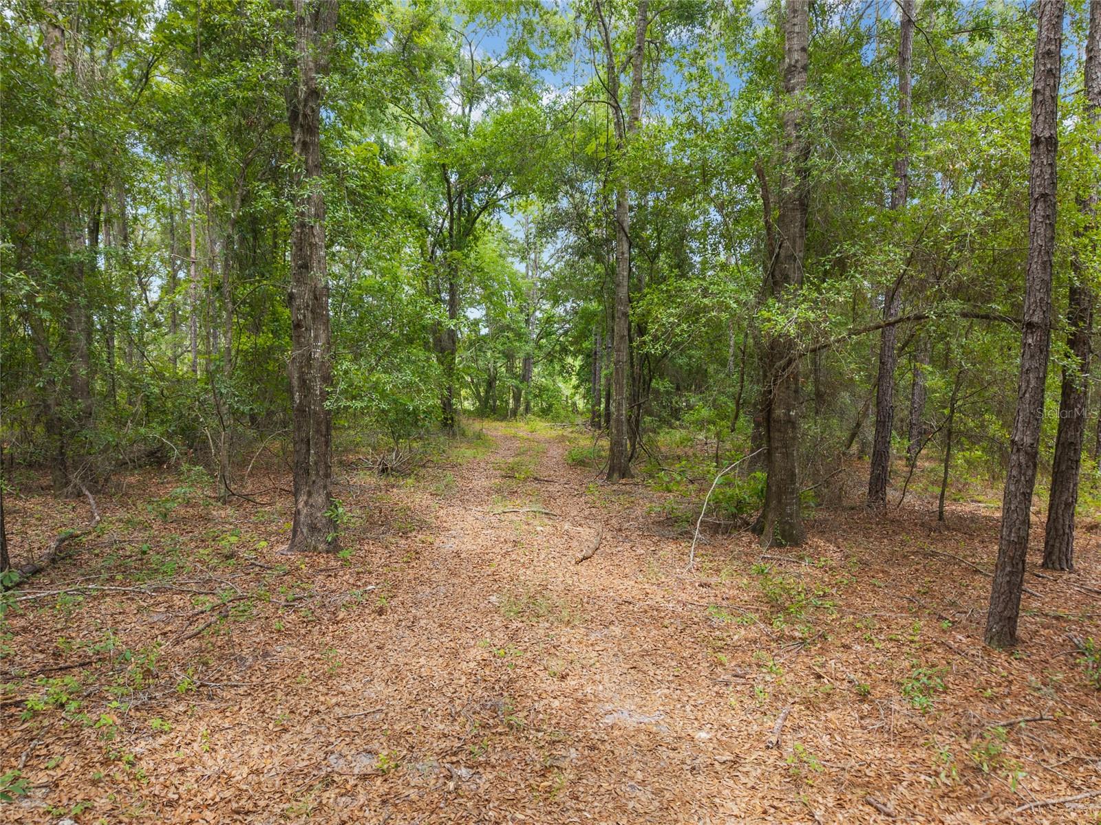 0 SW 234TH ST, NEWBERRY, FL — photo 21