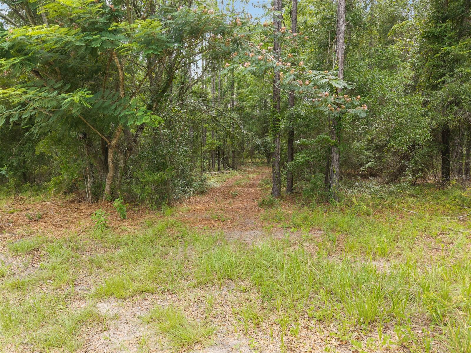 0 SW 234TH ST, NEWBERRY, FL — photo 22