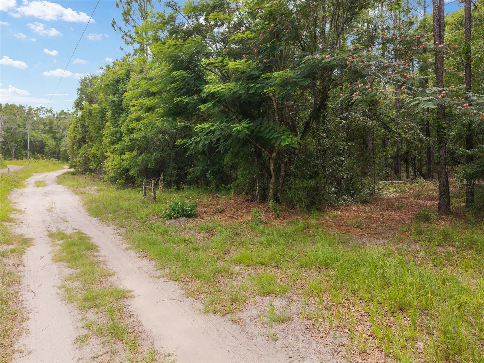 0 SW 234TH ST, NEWBERRY, FL — photo 23