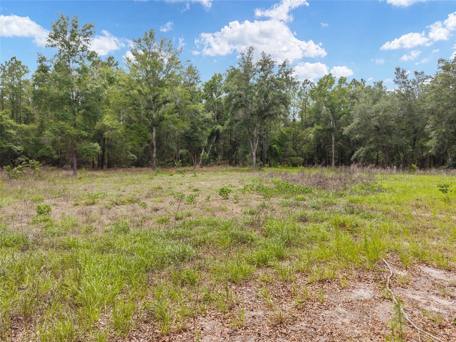0 SW 234TH ST, NEWBERRY, FL — photo 24