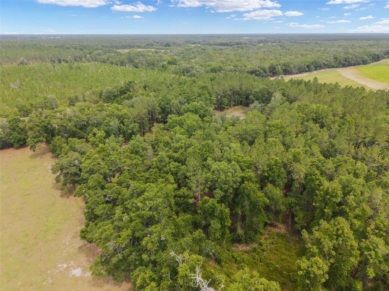 0 SW 234TH ST, NEWBERRY, FL — photo 31