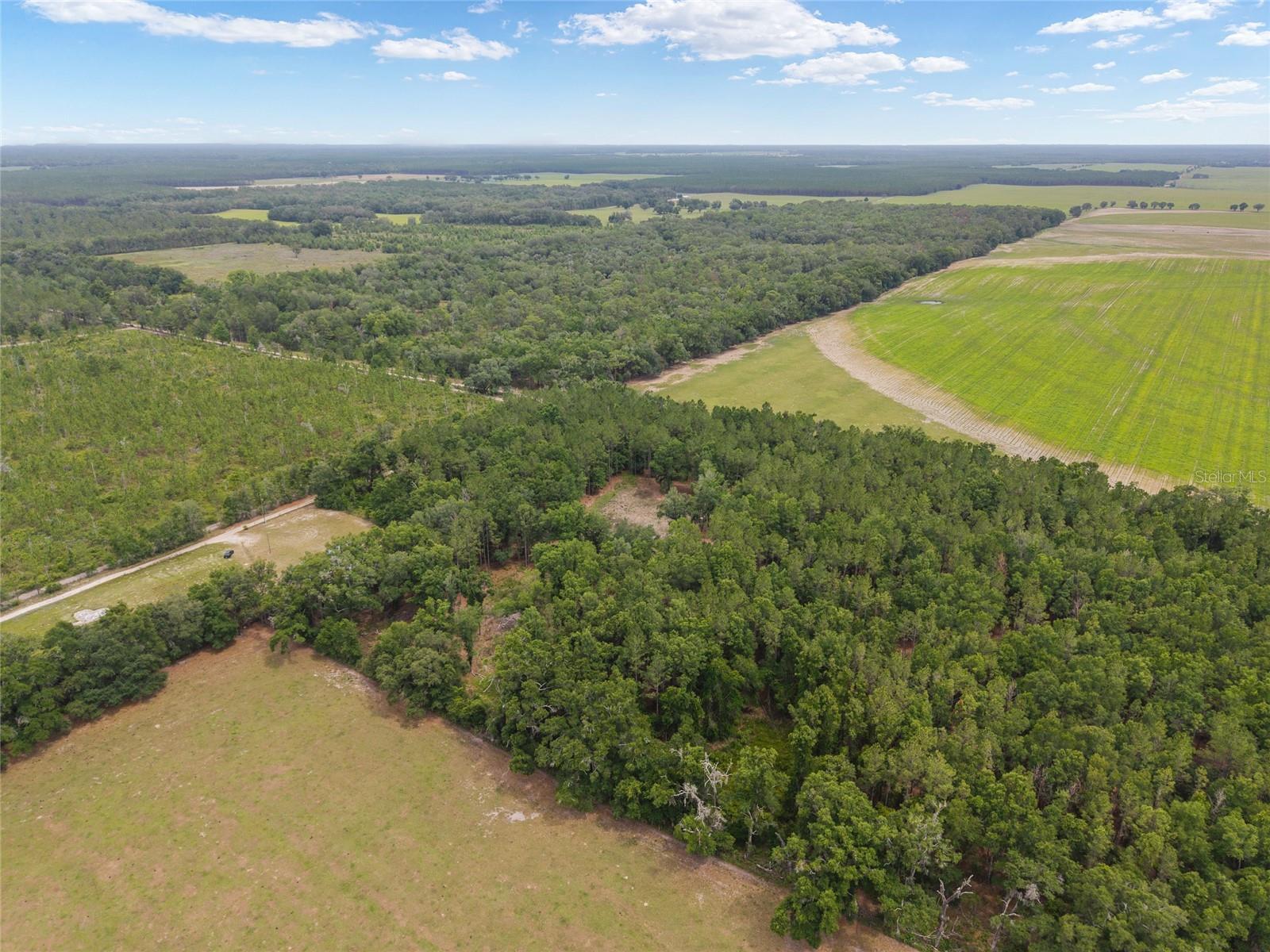 0 SW 234TH ST, NEWBERRY, FL — photo 32