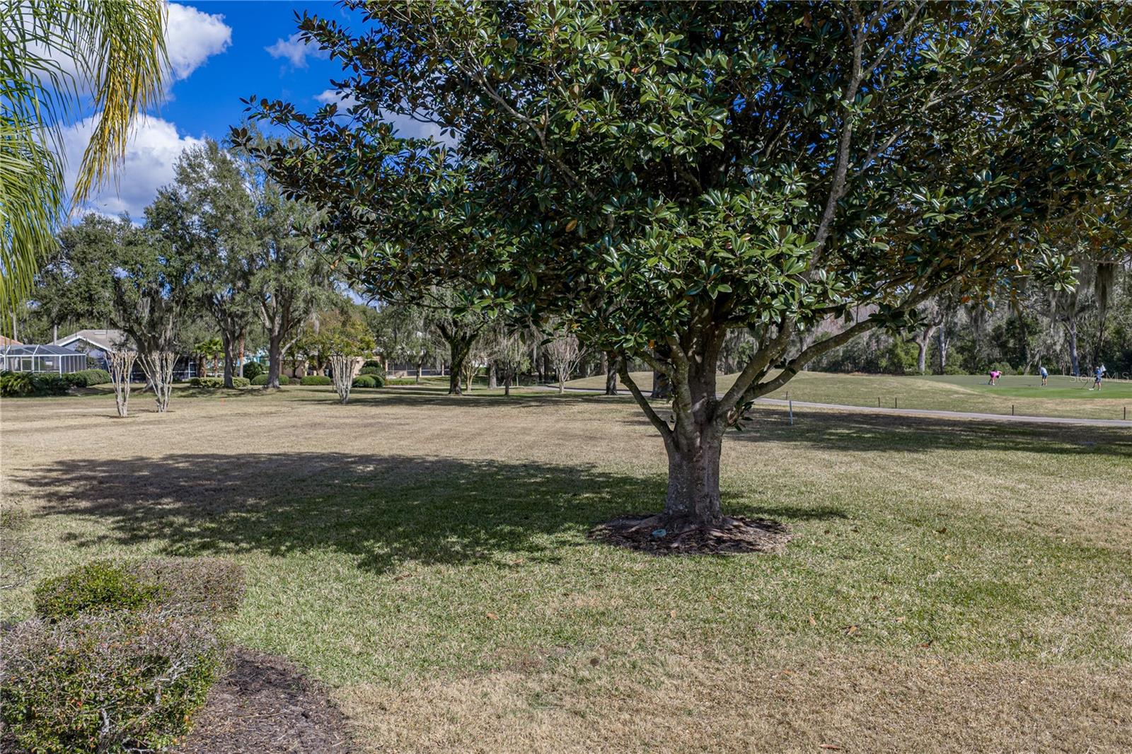 12518 LAKE JOVITA BLVD, DADE CITY, FL — photo 75