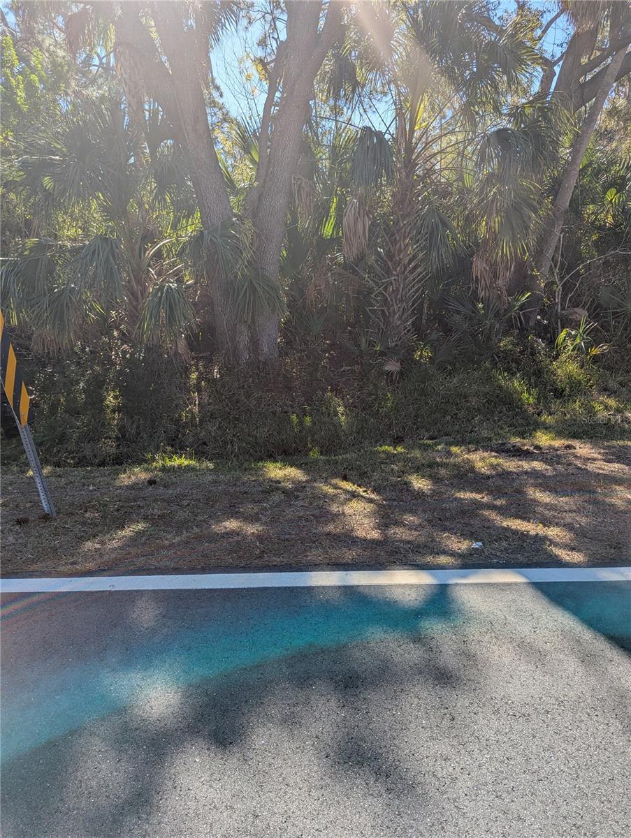 Lots 1,2&3 DE LEON DR, NORTH PORT, FL — photo 15