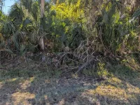 Lots 1,2&3 DE LEON DR — photo 22