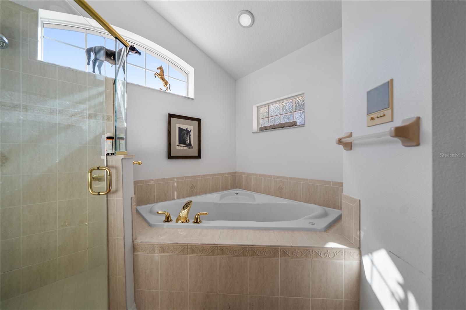 15995 NW 10TH CIR, CITRA, FL — photo 32