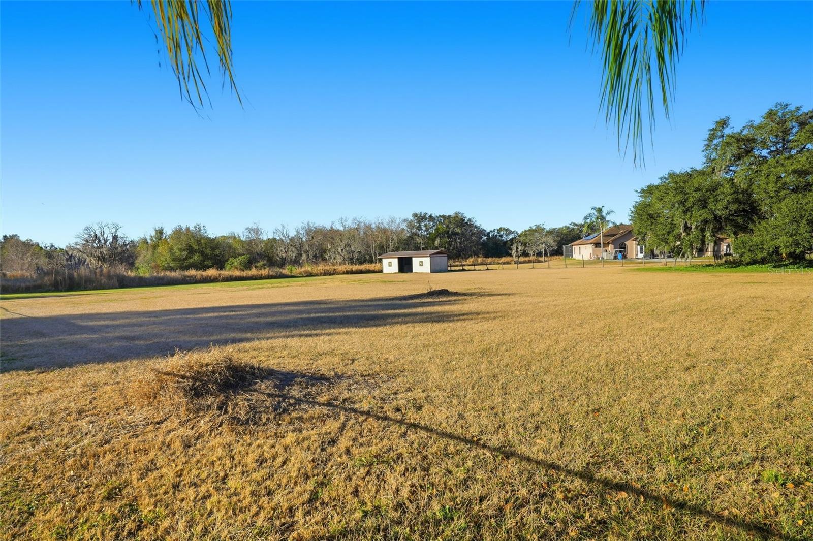 7005 CRIPPLE CREEK RD, PLANT CITY, FL — photo 2