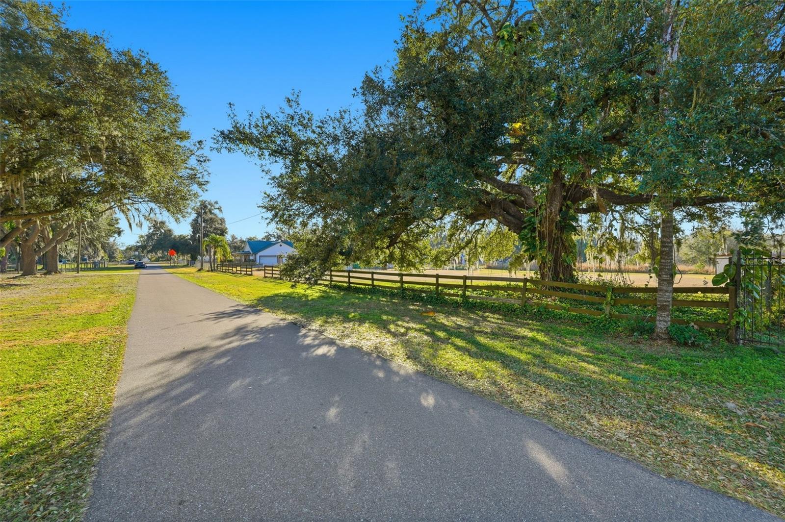 7005 CRIPPLE CREEK RD, PLANT CITY, FL — photo 8