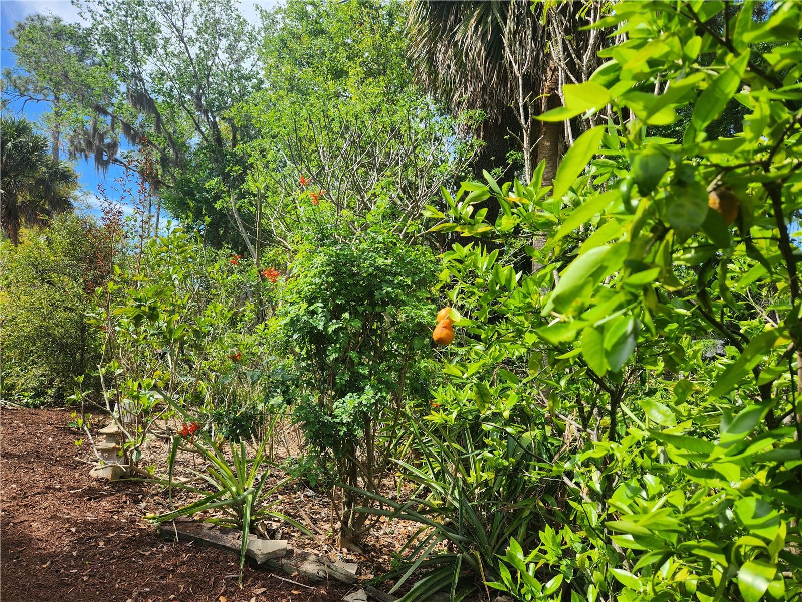 1035 SIRUS TRL, SARASOTA, FL — photo 42