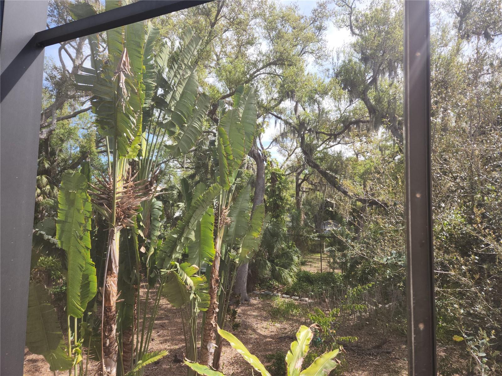 1035 SIRUS TRL, SARASOTA, FL — photo 43