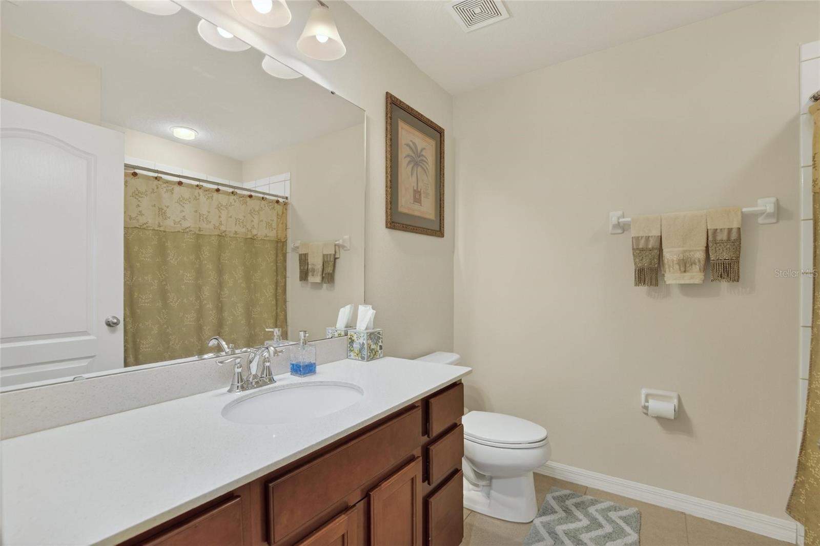 10808 VERAWOOD DR, RIVERVIEW, FL — photo 31