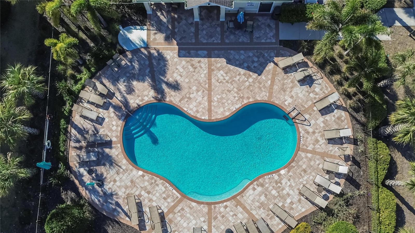 10808 VERAWOOD DR, RIVERVIEW, FL — photo 55