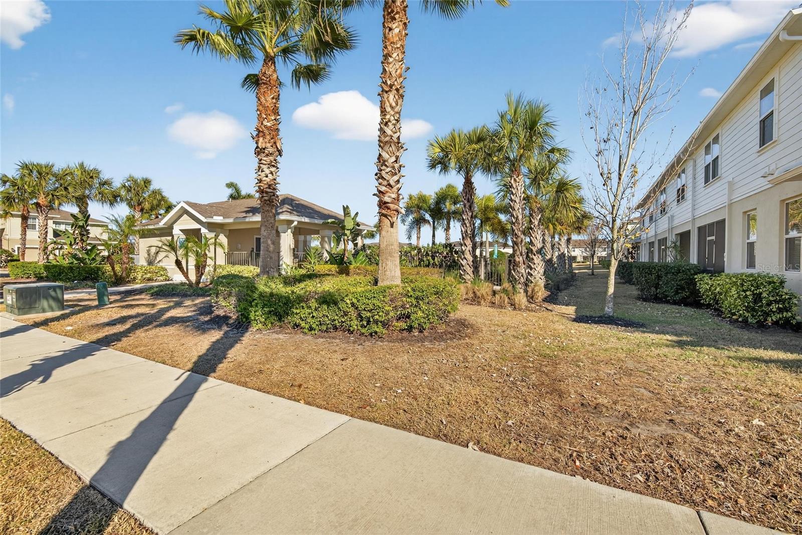 10808 VERAWOOD DR, RIVERVIEW, FL — photo 64
