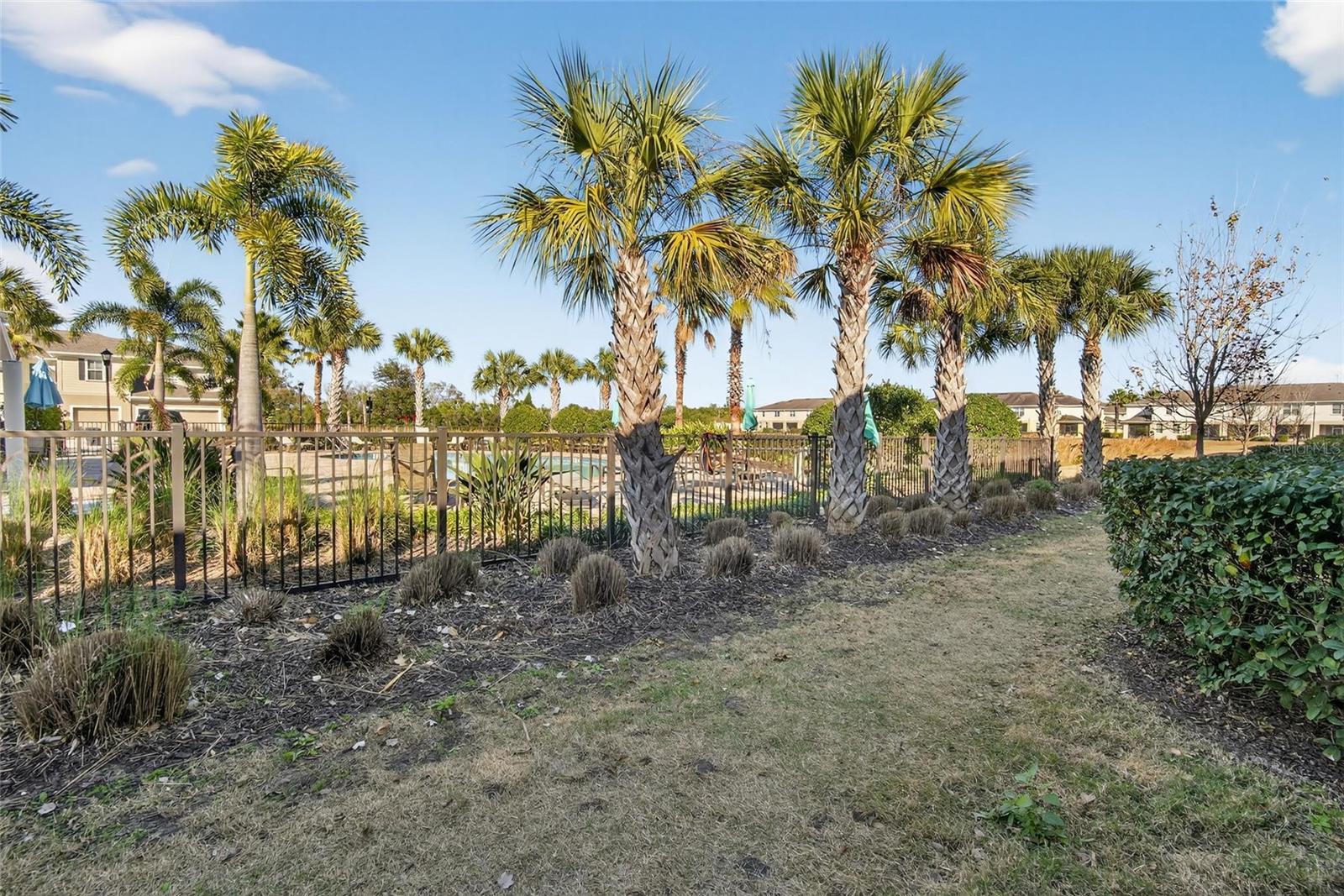 10808 VERAWOOD DR, RIVERVIEW, FL — photo 65