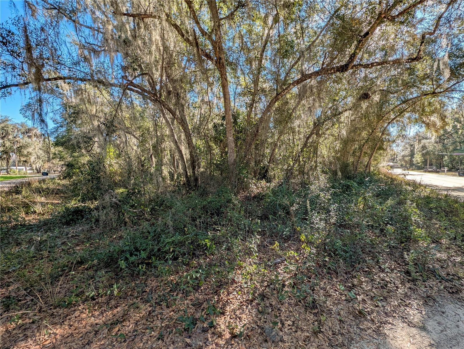 110 LEEWARD RD, SATSUMA, FL — photo 17