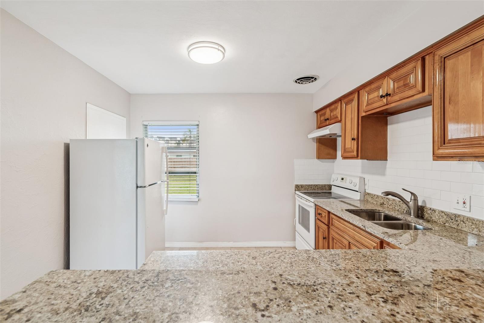10970 GROVE TER, SEMINOLE, FL — photo 11