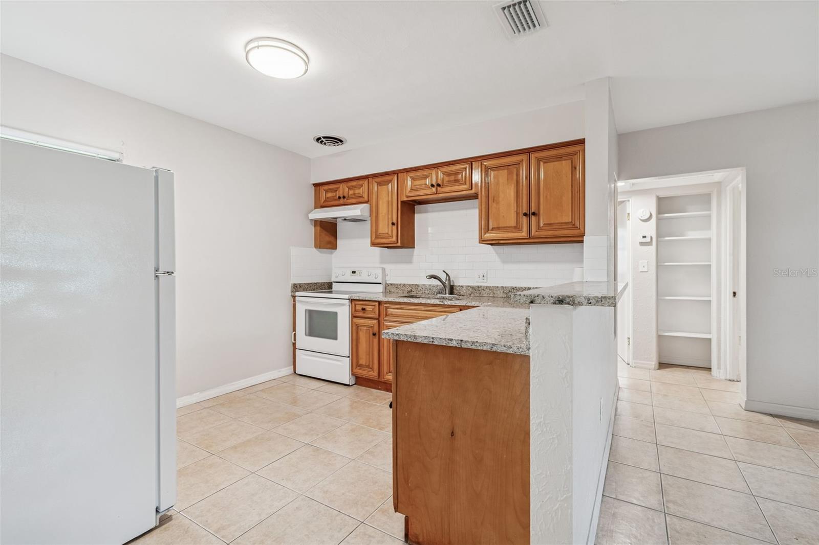 10970 GROVE TER, SEMINOLE, FL — photo 12
