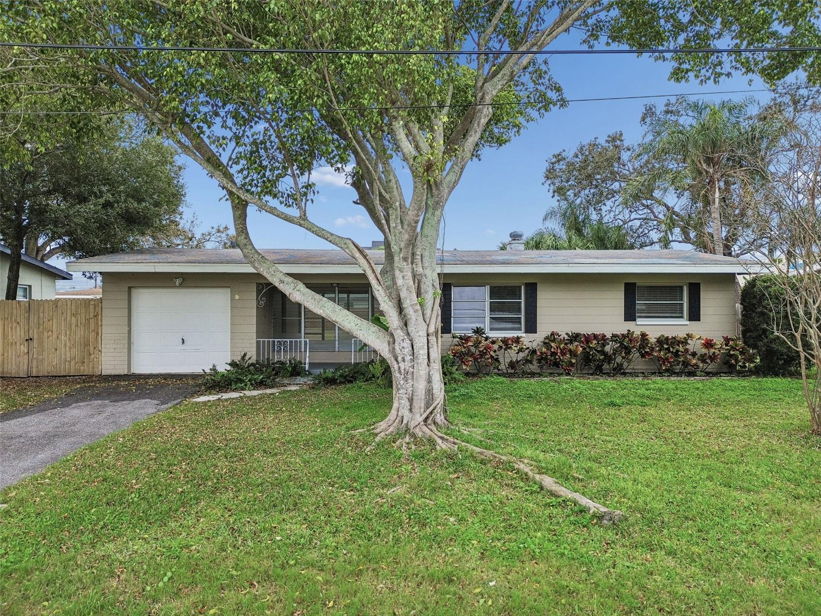 10970 GROVE TER, SEMINOLE, FL — photo 40