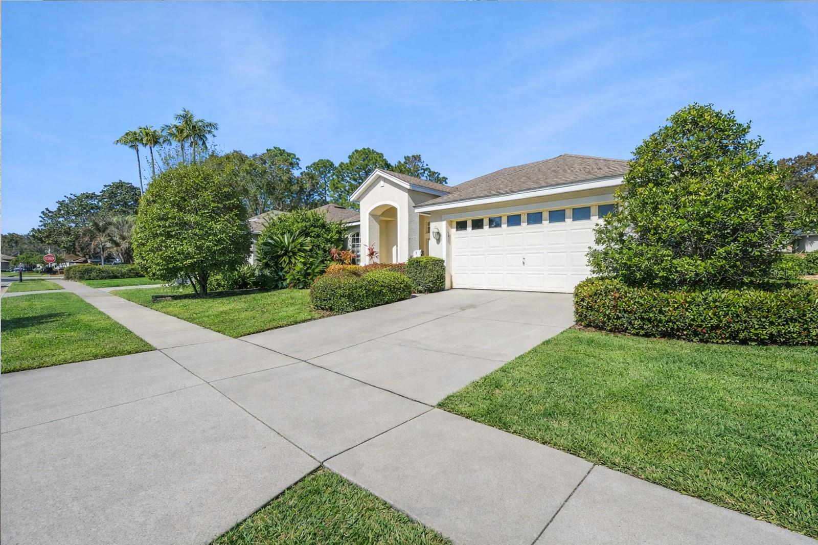 8032 PINE HOLLOW DR, MOUNT DORA, FL — photo 4