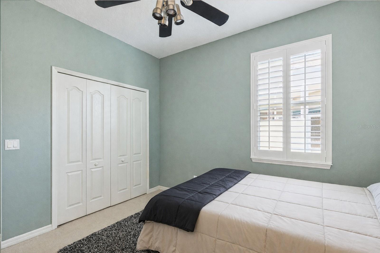 8032 PINE HOLLOW DR, MOUNT DORA, FL — photo 45