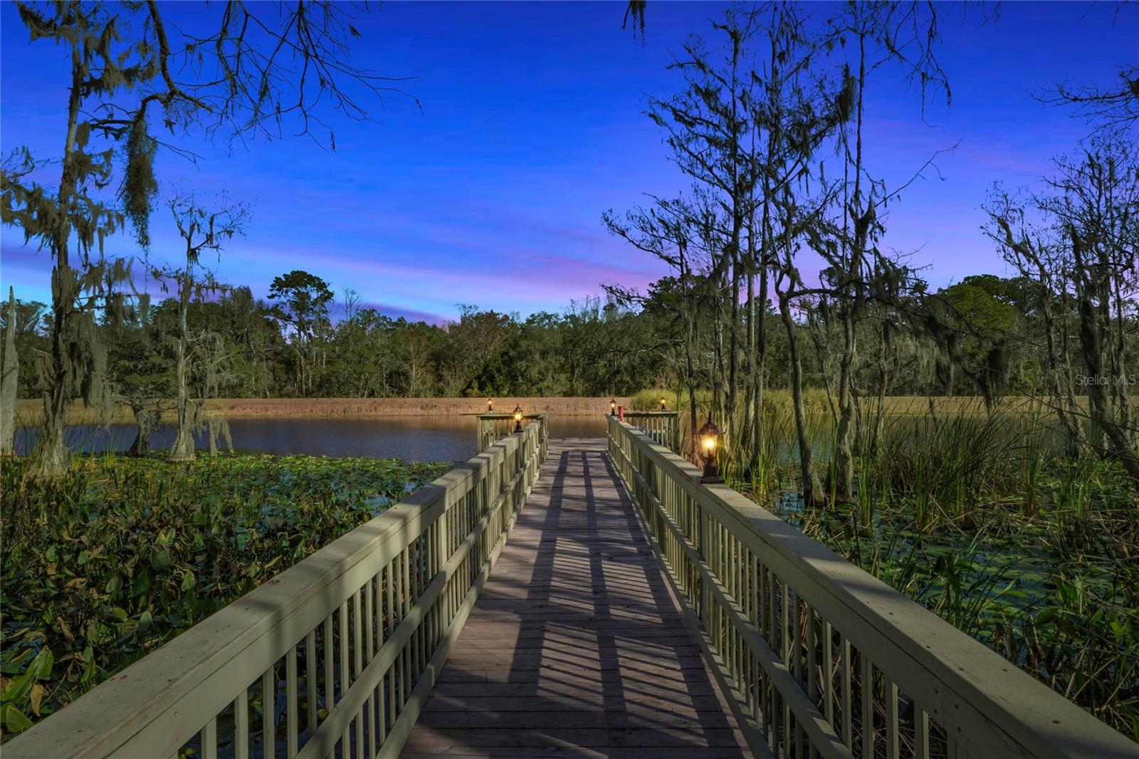 351 SEQUOIA DR, OCKLAWAHA, FL — photo 15
