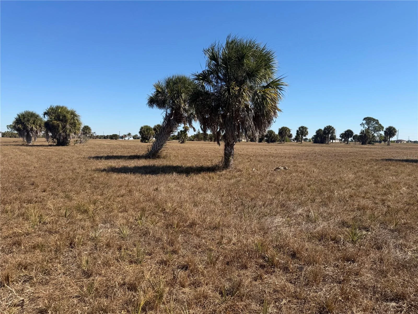 24 LARK DR, PLACIDA, FL — photo 4