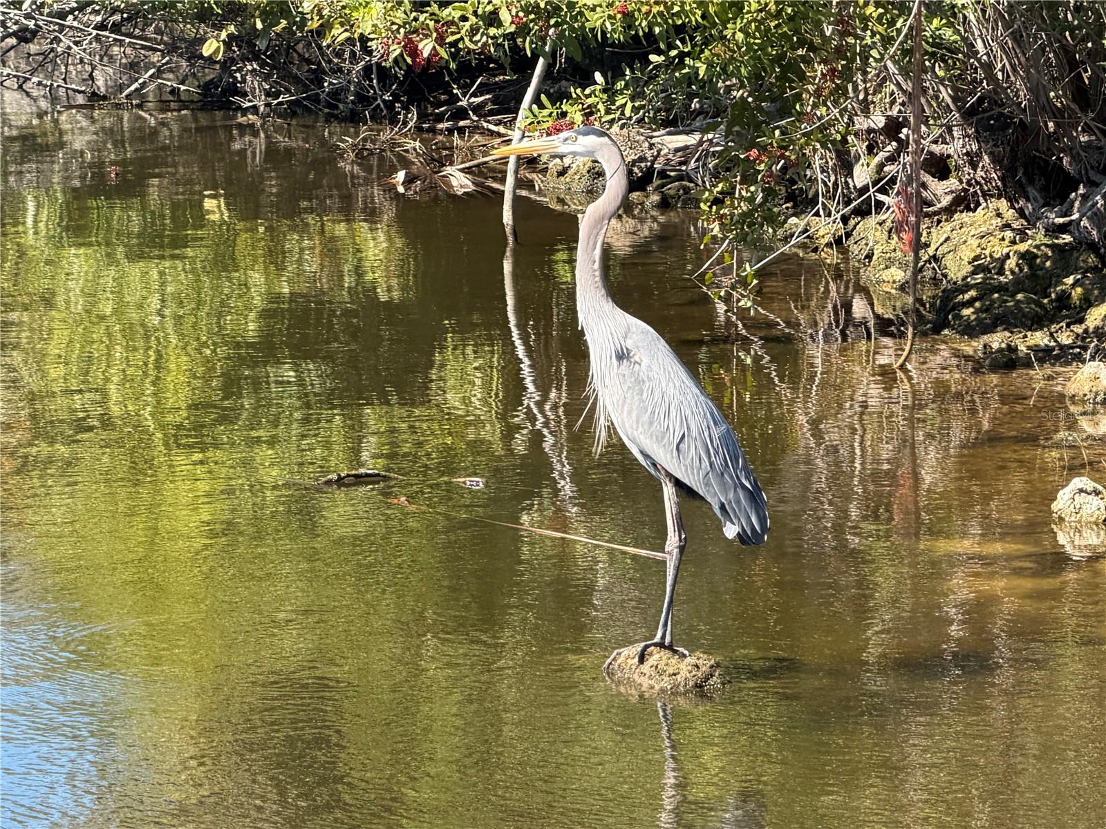 7 & 9 CHICKADEE LN, PLACIDA, FL — photo 23