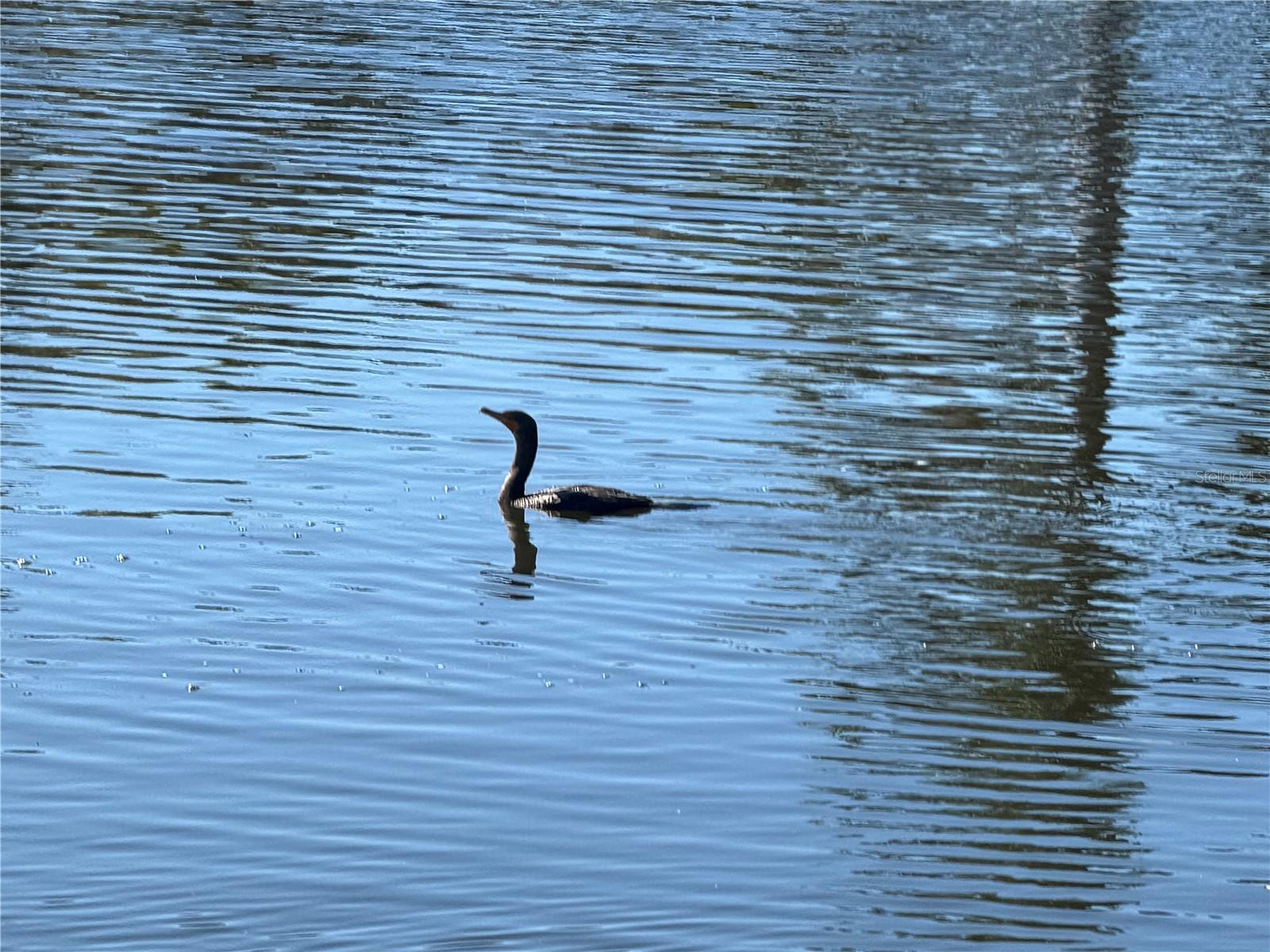 7 & 9 CHICKADEE LN, PLACIDA, FL — photo 26