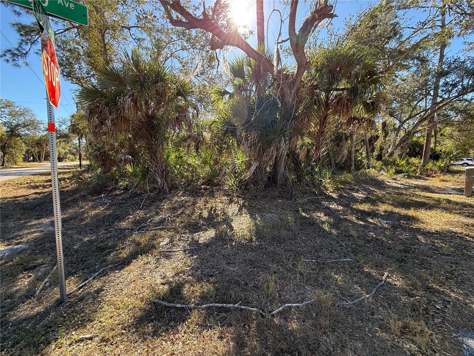 163 STATLER ST, PORT CHARLOTTE, FL — photo 7