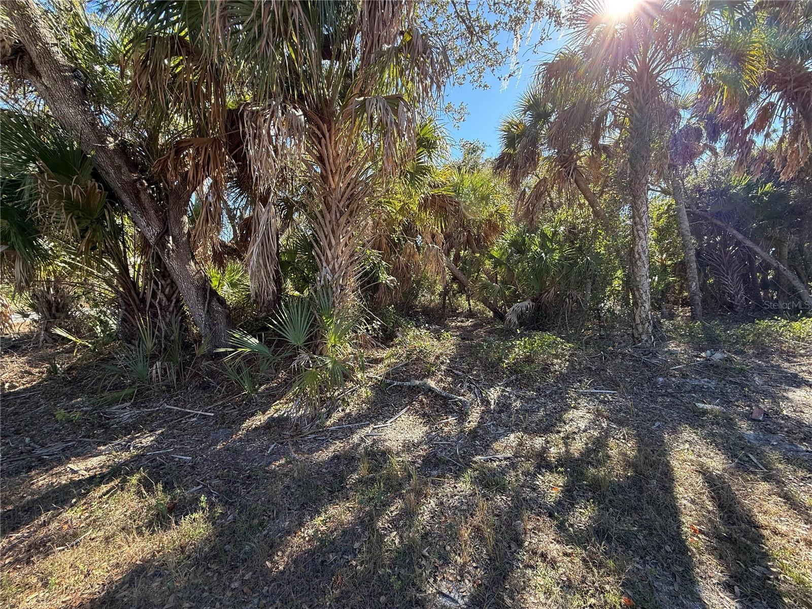 163 STATLER ST, PORT CHARLOTTE, FL — photo 9