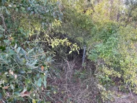 ABATE AVE #Lot 10 — photo 4