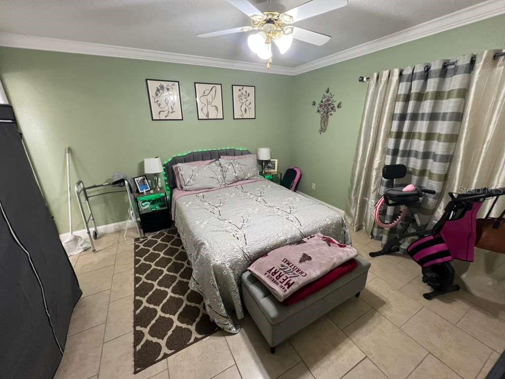4905 N 14TH ST, TAMPA, FL — photo 12