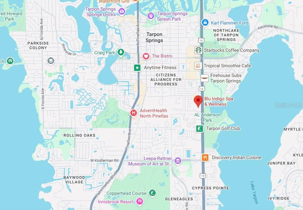 39930 US HIGHWAY 19 N #39930, TARPON SPRINGS, FL — photo 4