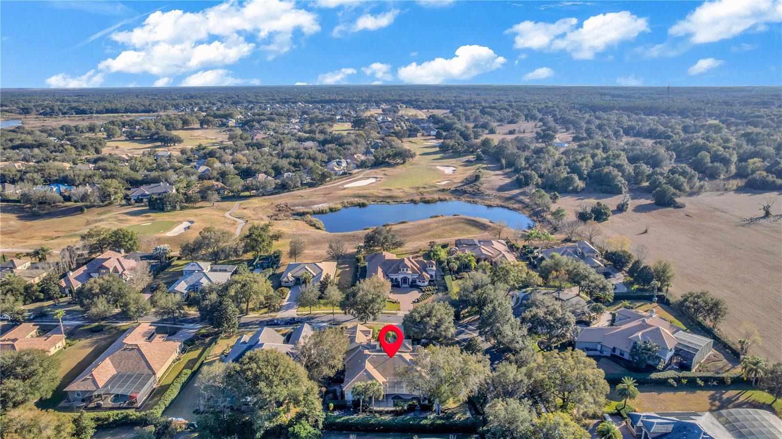 25514 HIGH HAMPTON CIR, SORRENTO, FL — photo 97