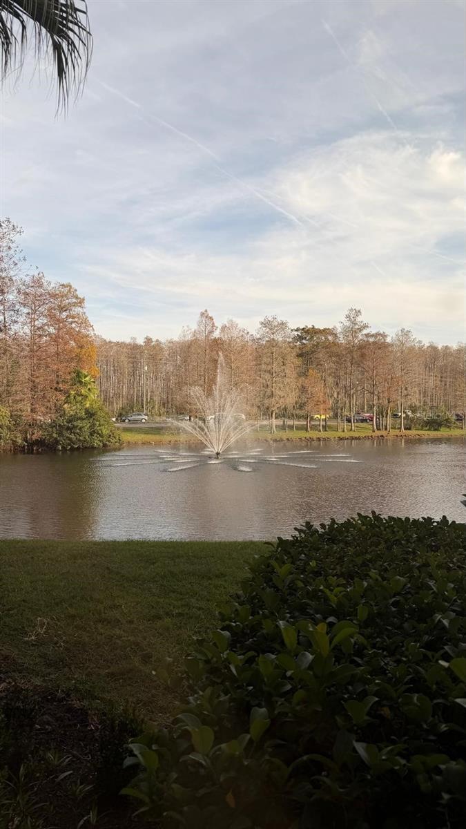 13584 TURTLE MARSH LOOP #113, ORLANDO, FL — photo 3