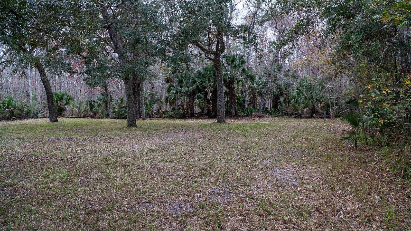 155 FRAN LN, SATSUMA, FL — photo 4