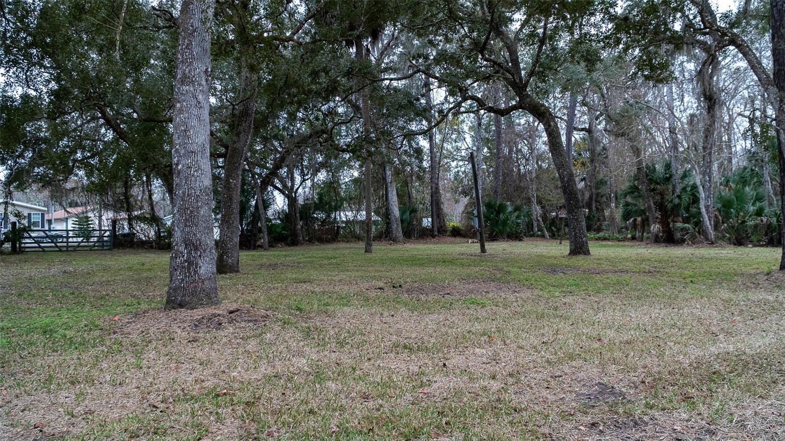 155 FRAN LN, SATSUMA, FL — photo 5