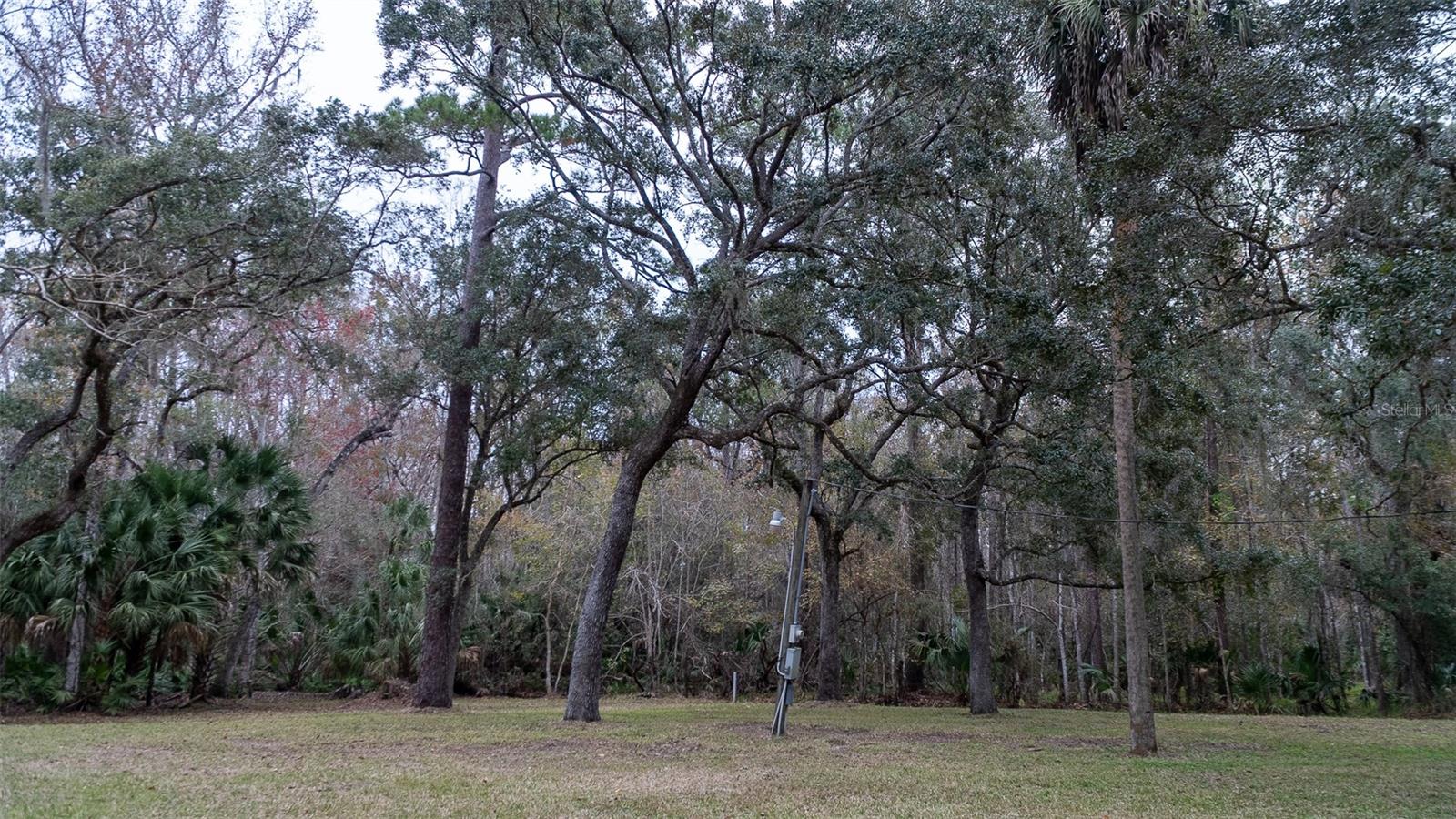 155 FRAN LN, SATSUMA, FL — photo 7