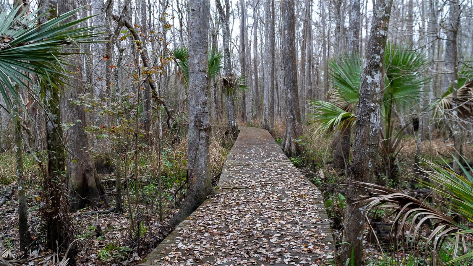 155 FRAN LN, SATSUMA, FL — photo 9